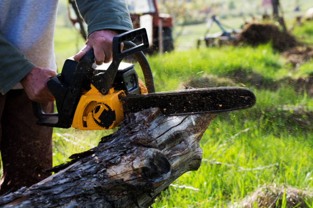 Best Pest Control for Lawns  in Ancient Oaks, PA